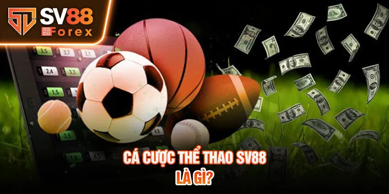 Cá cược thể thao Sv88 là gì?