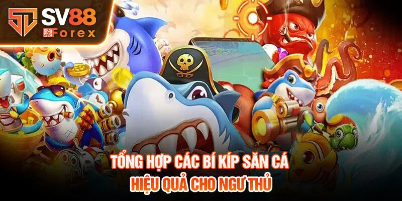 Tổng hợp các bí kíp săn cá hiệu quả cho ngư thủ